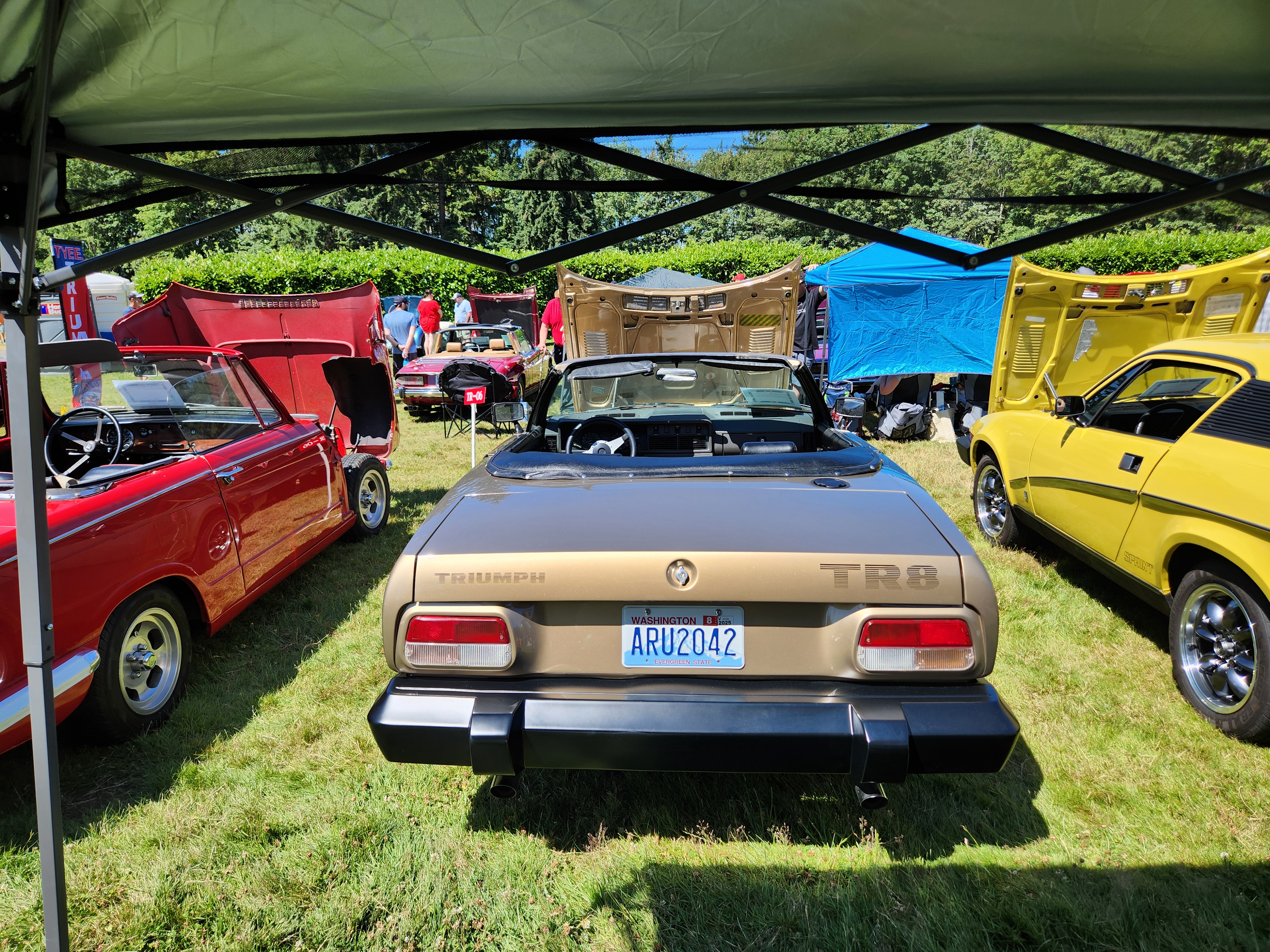 1980 Triumph TR8fi 1-9